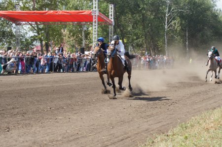 Продолжение традиции: состоялся II конно-спортивный фестиваль им. М. И. Каштанова